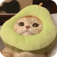 黄页网站APPAPP应用